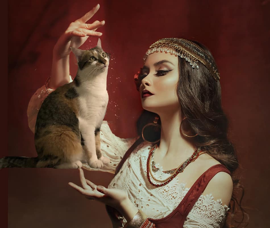 beautiful witch conjures calico cat