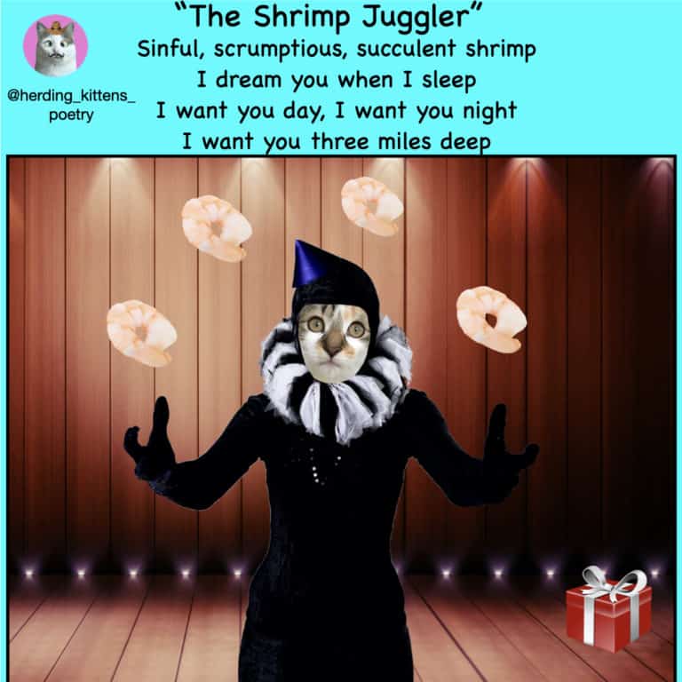 cat edit of cat juggling shrimp